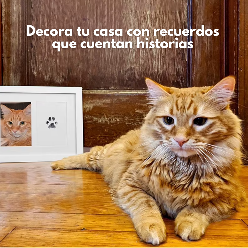 PawPrints™ – Kit de Huellas de Mascota DIY