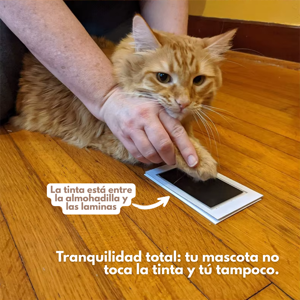 PawPrints™ – Kit de Huellas de Mascota DIY
