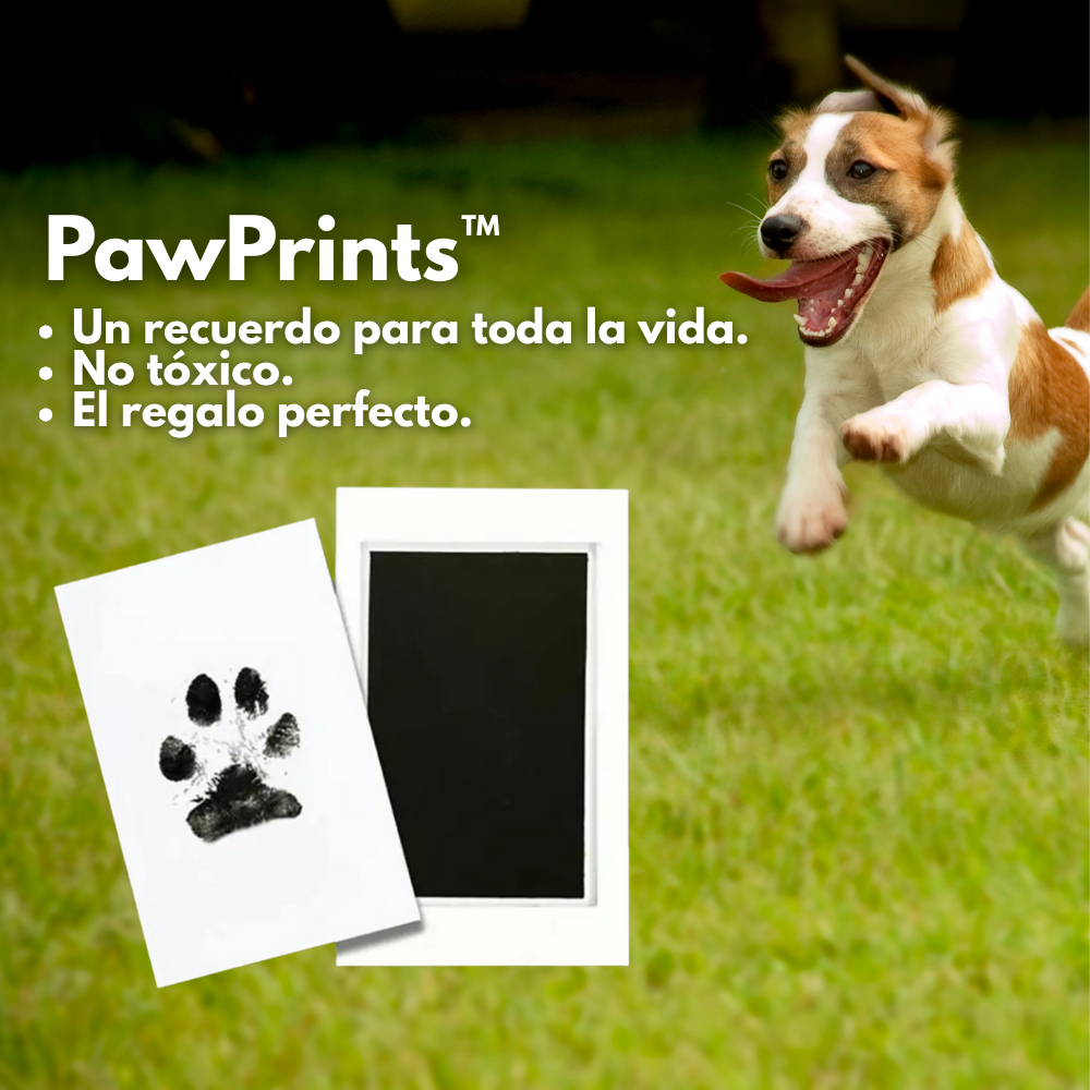 PawPrints™ – Kit de Huellas de Mascota DIY